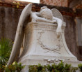 /album/fotogaleria-brazilia-zajazd-vy-a-my/zajazd-rio-de-janeiro-10-jpg/
